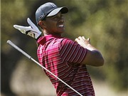 Bóng đá anh, ngoại hạng anh, lịch thi đấu euro 2012, Tiger Woods bị tấn công bằng... xúc xích